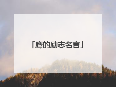 鹰的励志名言