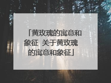黄玫瑰的寓意和象征 关于黄玫瑰的寓意和象征