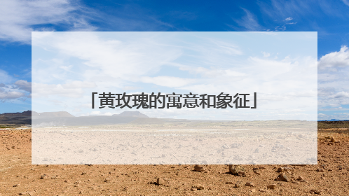 黄玫瑰的寓意和象征