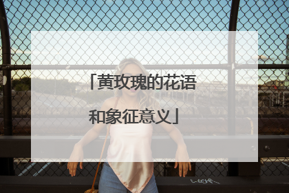 黄玫瑰的花语和象征意义