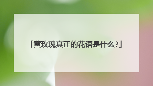 黄玫瑰真正的花语是什么?