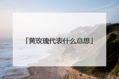 黄玫瑰代表什么意思