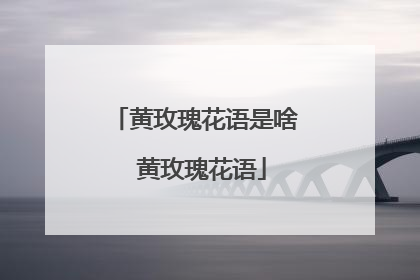 黄玫瑰花语是啥 黄玫瑰花语