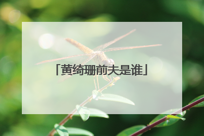 黄绮珊前夫是谁