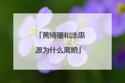 黄绮珊和涂惠源为什么离婚