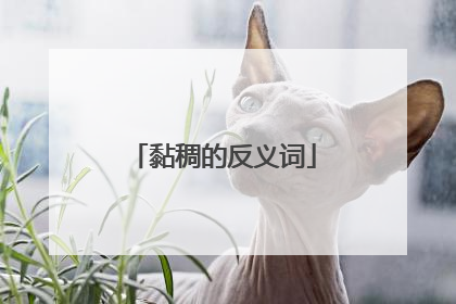 黏稠的反义词