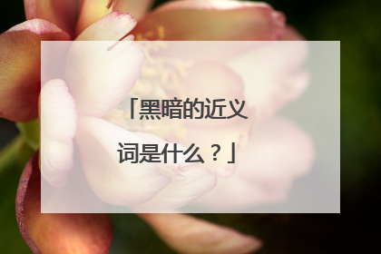 黑暗的近义词是什么？