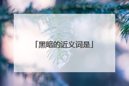 黑暗的近义词是