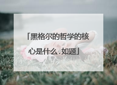 黑格尔的哲学的核心是什么.如题
