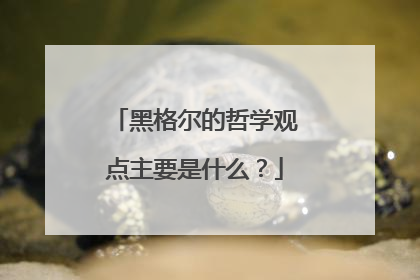 黑格尔的哲学观点主要是什么？