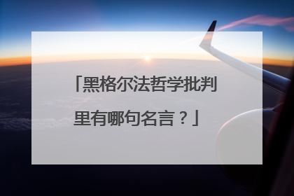 黑格尔法哲学批判里有哪句名言？