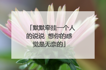 默默牵挂一个人的说说 想你的感觉是无奈的