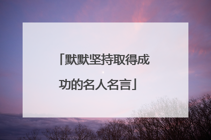 默默坚持取得成功的名人名言