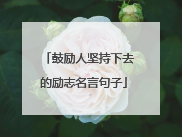 鼓励人坚持下去的励志名言句子