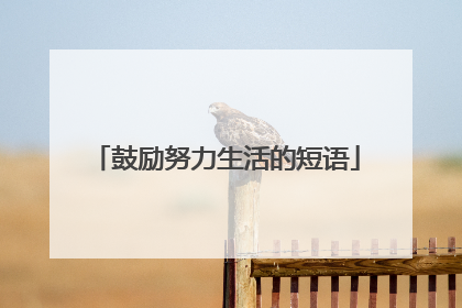 鼓励努力生活的短语