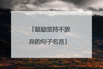 鼓励坚持不放弃的句子名言
