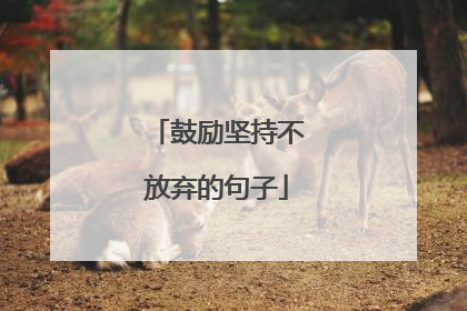 鼓励坚持不放弃的句子