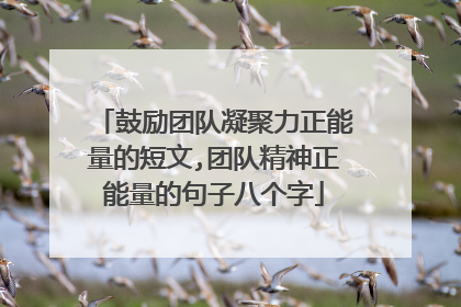 鼓励团队凝聚力正能量的短文,团队精神正能量的句子八个字