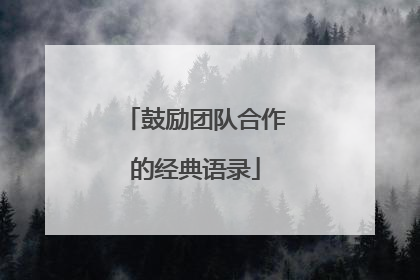 鼓励团队合作的经典语录