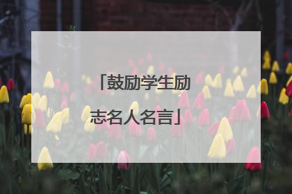 鼓励学生励志名人名言