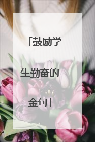 鼓励学生勤奋的金句