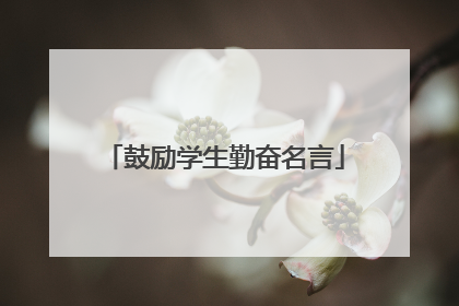 鼓励学生勤奋名言