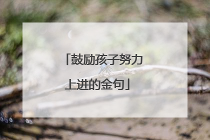 鼓励孩子努力上进的金句