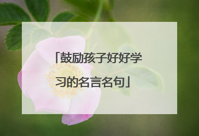 鼓励孩子好好学习的名言名句