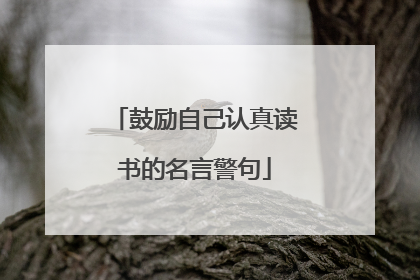 鼓励自己认真读书的名言警句