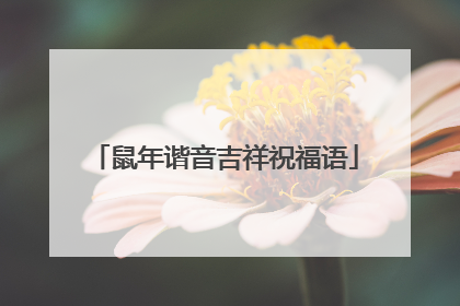 鼠年谐音吉祥祝福语