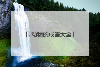 ,动物的成语大全