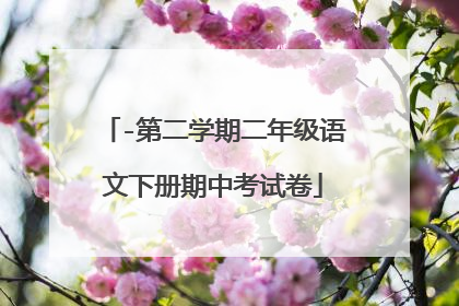-第二学期二年级语文下册期中考试卷