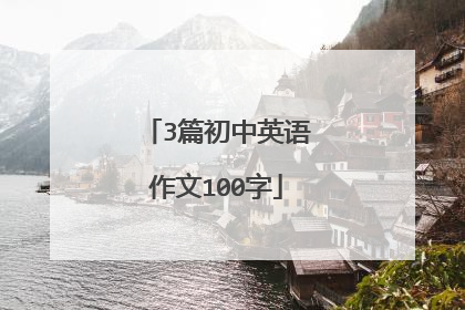 3篇初中英语作文100字