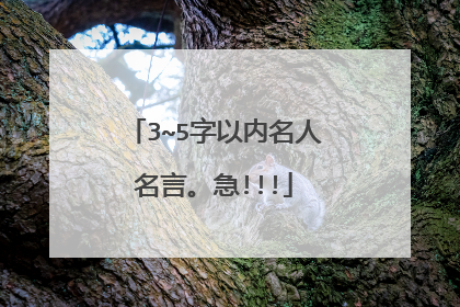3~5字以内名人名言。急!!!