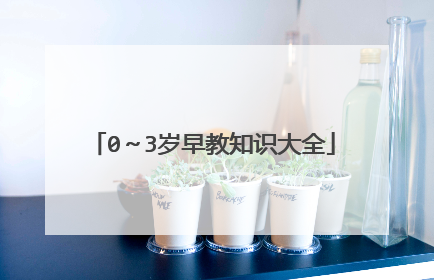 0～3岁早教知识大全