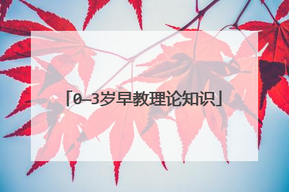 0—3岁早教理论知识