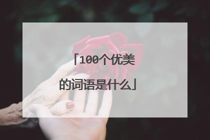 100个优美的词语是什么