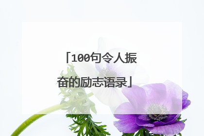 100句令人振奋的励志语录