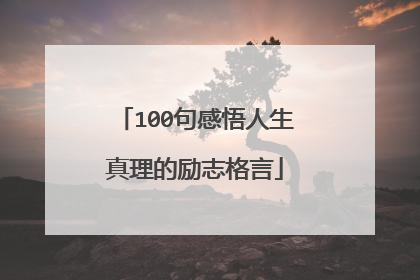 100句感悟人生真理的励志格言