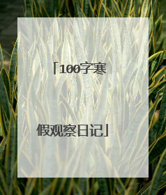100字寒假观察日记