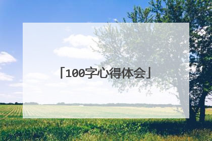 100字心得体会