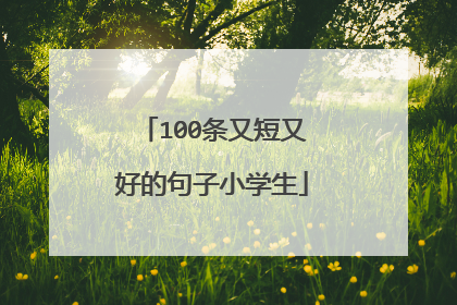 100条又短又好的句子小学生
