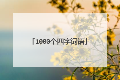 1000个四字词语