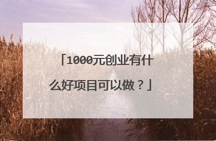 1000元创业有什么好项目可以做?