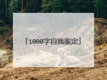 1000字自我鉴定