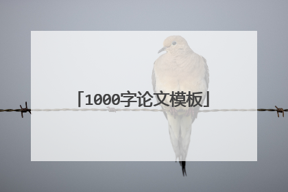 1000字论文模板