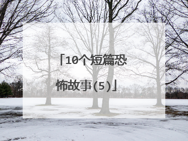 10个短篇恐怖故事(5)
