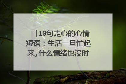 10句走心的心情短语：生活一旦忙起来,什么情绪也没时间表达了。
