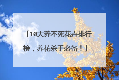 10大养不死花卉排行榜,养花杀手必备!