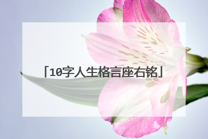 10字人生格言座右铭